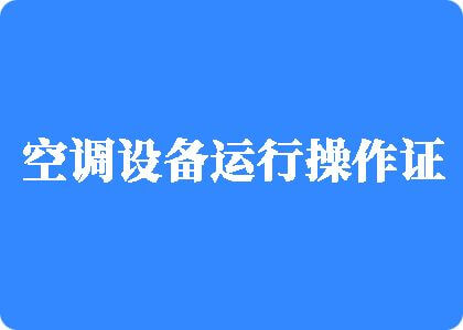 又粗又长又硬的大鸡巴操小嫩逼视频制冷工证