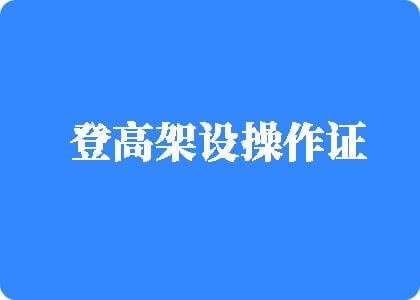 天天插老骚逼逼视频网站播放登高架设操作证