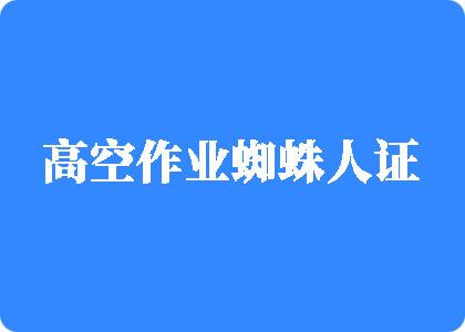 二B免费视频高空作业蜘蛛人证